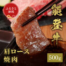 肉【和牛セレブ】能登牛　牛肩（ウデ）&nbsp;焼肉&nbsp;500g&nbsp;黒毛和牛&nbsp;霜降り&nbsp;ギフト&nbsp;石川県&nbsp;能美市