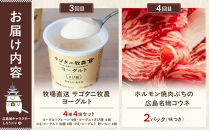 【定期便&nbsp;全4回】ええじゃろひろしま便！　ぶちうま名物&nbsp;詰合せ定期便C