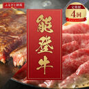 肉【定期便全4回】【和牛セレブ】能登牛&nbsp;定期便「エコノミークラス」全4回&nbsp;特選&nbsp;しゃぶしゃぶ&nbsp;すき焼き&nbsp;焼肉&nbsp;ステーキ&nbsp;ギフト&nbsp;石川県&nbsp;能美市