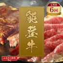 肉【定期便全6回】【和牛セレブ】能登牛&nbsp;定期便「ビジネスクラス」特選&nbsp;しゃぶしゃぶ&nbsp;すき焼き&nbsp;焼肉&nbsp;ステーキ&nbsp;ギフト&nbsp;石川県&nbsp;能美市