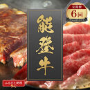 肉【定期便全6回】【和牛セレブ】能登牛&nbsp;定期便「ファーストクラス」特選&nbsp;しゃぶしゃぶ&nbsp;すき焼き&nbsp;焼肉&nbsp;ステーキ&nbsp;ギフト&nbsp;石川県&nbsp;能美市