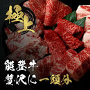 肉&nbsp;【和牛セレブ】能登牛&nbsp;一頭買い（12分割配送）2個口&nbsp;黒毛和牛&nbsp;霜降り&nbsp;ギフト&nbsp;石川県&nbsp;能美市