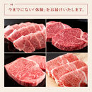 肉【和牛セレブ】能登牛&nbsp;半頭買い（24分割配送）2個口&nbsp;黒毛和牛&nbsp;霜降り&nbsp;ギフト&nbsp;石川県&nbsp;能美市
