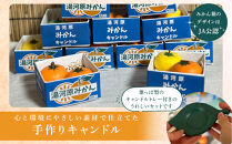 みかん箱キャンドルセット&nbsp;|&nbsp;湯河原町&nbsp;みかん&nbsp;キャンドル&nbsp;癒し&nbsp;ハンドメイド&nbsp;香り