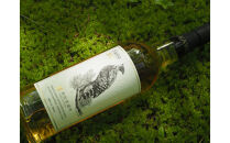 【700ml】井川蒸溜所　SINGLE&nbsp;MALT&nbsp;Dessin&nbsp;Series&nbsp;Fauna&nbsp;2026◆