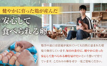 【定期便6か月】国産飼料にこだわった鶏が産む安全安心の&nbsp;『レモン色たまご』20玉（15玉＋割れ保証5玉）&nbsp;［Hn5］