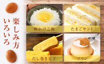 【定期便3か月】国産飼料にこだわった鶏が産む安全安心の&nbsp;『レモン色たまご』30玉（25玉＋割れ保証5玉）&nbsp;［Hn7］
