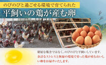 【定期便12か月】国産飼料にこだわった鶏が産む安全安心の&nbsp;『レモン色たまご』30玉（25玉＋割れ保証5玉）&nbsp;［Hn9］