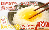 【定期便12か月】国産飼料にこだわった鶏が産む安全安心の&nbsp;『レモン色たまご』60玉（55玉＋割れ保証5玉）&nbsp;［Hn12］