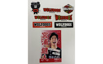 宮浦選手サイン入りポストカードとウルフドッグス名古屋ダイカットステッカーセット！【トップスポーツチーム活動支援事業寄附金専用】