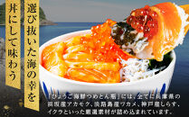 ひょうごサーモン×2　ひょうごサーモン須磨のり、ひょうごサーモン淡路島なるとオレンジセット