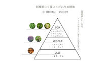 01.ビタリッチパワーリフトセラム