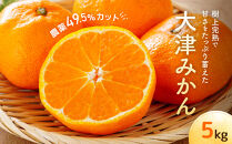 大津みかん（5kg）※12月中旬～下旬発送&nbsp;|&nbsp;湯河原町&nbsp;自然栽培&nbsp;旬&nbsp;みかん&nbsp;フルーツ&nbsp;大津4号