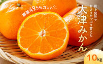 大津みかん（10kg）※12月中旬～下旬発送&nbsp;|&nbsp;湯河原町&nbsp;自然栽培&nbsp;旬&nbsp;みかん&nbsp;フルーツ&nbsp;大津4号