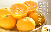 青島みかん（5kg）※12月中旬～下旬発送&nbsp;|&nbsp;湯河原町&nbsp;果実&nbsp;旬&nbsp;柑橘&nbsp;フルーツ