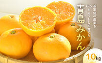 青島みかん（10kg）※12月中旬～下旬発送&nbsp;|&nbsp;湯河原町&nbsp;果実&nbsp;旬&nbsp;柑橘&nbsp;フルーツ