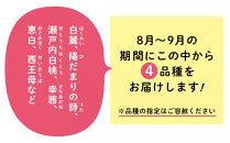 岡山の桃　8月-9月&nbsp;&nbsp;４回定期便　（桃3-4玉/1kg)