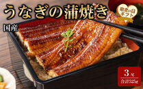 【敬老の日】国産うなぎの蒲焼き&nbsp;3尾（合計525g）
