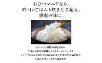 IWANO&nbsp;おひつマニア
