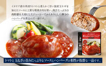 一流シェフ仕込み&nbsp;神戸開花亭&nbsp;煮込みハンバーグ&nbsp;3種10袋セット｜京都&nbsp;有名店&nbsp;ハンバーグ&nbsp;人気［&nbsp;有名店&nbsp;ハンバーグ&nbsp;デミグラスソース&nbsp;トマトソース&nbsp;てりやきソース&nbsp;食べ比べ&nbsp;レトルト食品&nbsp;簡単&nbsp;時短&nbsp;便利&nbsp;長期保存&nbsp;おすすめ&nbsp;洋食&nbsp;お取り寄せ&nbsp;通販&nbsp;送料無料&nbsp;ふるさと納税&nbsp;］