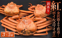 2026年10月発送【訳あり】金沢港より直送！ボイル紅ズワイガニ&nbsp;3～5杯セット&nbsp;カニ&nbsp;姿&nbsp;金沢市&nbsp;北陸沖水揚げ&nbsp;日本海&nbsp;訳あり&nbsp;冷蔵便&nbsp;朝茹で&nbsp;ボイル済み&nbsp;鮮度抜群&nbsp;食べやすい&nbsp;カニ身&nbsp;かにしゃぶ&nbsp;かに鍋&nbsp;海鮮&nbsp;魚介類&nbsp;高級食材&nbsp;冬の味覚&nbsp;グルメ&nbsp;ギフト&nbsp;贈答用&nbsp;人気&nbsp;おすすめ&nbsp;お取り寄せ&nbsp;通販&nbsp;送料無料&nbsp;ふるさと納税