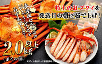 2027年2月発送【訳あり】金沢港より直送！ボイル紅ズワイガニ&nbsp;3～5杯セット&nbsp;カニ&nbsp;姿&nbsp;金沢市&nbsp;北陸沖水揚げ&nbsp;日本海&nbsp;訳あり&nbsp;冷蔵便&nbsp;朝茹で&nbsp;ボイル済み&nbsp;鮮度抜群&nbsp;食べやすい&nbsp;カニ身&nbsp;かにしゃぶ&nbsp;かに鍋&nbsp;海鮮&nbsp;魚介類&nbsp;高級食材&nbsp;冬の味覚&nbsp;グルメ&nbsp;ギフト&nbsp;贈答用&nbsp;人気&nbsp;おすすめ&nbsp;お取り寄せ&nbsp;通販&nbsp;送料無料&nbsp;ふるさと納税