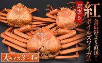 2027年1月発送【訳あり】金沢港より直送！ボイル紅ズワイガニ&nbsp;大サイズ3～4杯セット&nbsp;金沢市&nbsp;&nbsp;北陸沖水揚げ&nbsp;日本海&nbsp;訳あり&nbsp;冷蔵便&nbsp;朝茹で&nbsp;ボイル済み&nbsp;鮮度抜群&nbsp;食べやすい&nbsp;カニ身&nbsp;かにしゃぶ&nbsp;かに鍋&nbsp;海鮮&nbsp;魚介類&nbsp;高級食材&nbsp;冬の味覚&nbsp;グルメ&nbsp;ギフト&nbsp;贈答用&nbsp;人気&nbsp;おすすめ&nbsp;お取り寄せ&nbsp;通販&nbsp;送料無料&nbsp;ふるさと納税