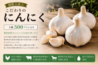 【2026年9月発送】標茶の恵み　こだわりのにんにく　１箱500グラム入り（Mサイズ約８～１０個）