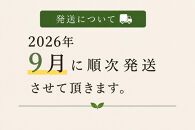【2026年9月発送】標茶の恵み　こだわりのにんにく　１箱500グラム入り（Mサイズ約８～１０個）