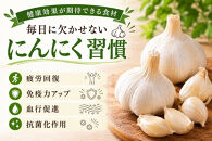 【2026年9月発送】標茶の恵み　こだわりのにんにく　１箱500グラム入り（Mサイズ約８～１０個）