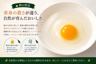 【限定50セット】標茶の恵み「平飼い&nbsp;純国産&nbsp;岡崎おうはん　こだわりの卵１箱&nbsp;10個入り1セット」