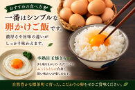 【限定25セット】標茶の恵み「平飼い&nbsp;純国産&nbsp;岡崎おうはん　こだわりの卵&nbsp;１箱10個入り2セット」