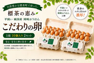 【限定25セット】標茶の恵み「平飼い&nbsp;純国産&nbsp;岡崎おうはん　こだわりの卵&nbsp;１箱10個入り2セット」