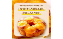 【お中元ギフト】瀬戸内芳醇オレンジケーキ&nbsp;香川県産ネーブルオレンジ