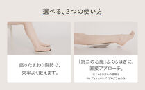 SIXPAD&nbsp;Foot&nbsp;Fit&nbsp;3&nbsp;Compact