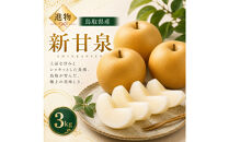 山根農園&nbsp;新甘泉&nbsp;3kg【2026年8月下旬以降発送】