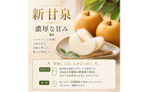 山根農園&nbsp;新甘泉&nbsp;3kg【2026年8月下旬以降発送】