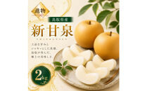 山根農園&nbsp;新甘泉&nbsp;2kg【2026年8月下旬以降発送】