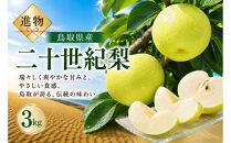 山根農園&nbsp;二十世紀梨&nbsp;3kg【2026年8月下旬以降発送】