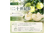 山根農園&nbsp;二十世紀梨&nbsp;2kg【2026年8月下旬以降発送】