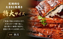 【秋月】でしこうなぎ蒲焼き&nbsp;約150g×2尾｜京都&nbsp;うなぎ&nbsp;人気セット&nbsp;[&nbsp;養鰻125年の伝統&nbsp;でしこうなぎ&nbsp;鰻&nbsp;炭火&nbsp;手焼き&nbsp;贅沢&nbsp;グルメ&nbsp;おすすめ&nbsp;ギフト&nbsp;プレゼント&nbsp;贈答&nbsp;お取り寄せ&nbsp;通販&nbsp;送料無料&nbsp;］