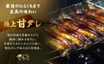 【秋月】でしこうなぎ蒲焼き&nbsp;約150g×2尾｜京都&nbsp;うなぎ&nbsp;人気セット&nbsp;[&nbsp;養鰻125年の伝統&nbsp;でしこうなぎ&nbsp;鰻&nbsp;炭火&nbsp;手焼き&nbsp;贅沢&nbsp;グルメ&nbsp;おすすめ&nbsp;ギフト&nbsp;プレゼント&nbsp;贈答&nbsp;お取り寄せ&nbsp;通販&nbsp;送料無料&nbsp;］
