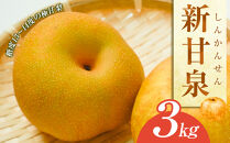 【先行予約】新甘泉&nbsp;梨&nbsp;3kg（JA）※2026年8月中旬～9月上旬頃に順次発送予定【梨&nbsp;なし&nbsp;ナシ&nbsp;しんかんせん&nbsp;鳥取県産&nbsp;くだもの&nbsp;果物&nbsp;フルーツ&nbsp;旬&nbsp;鳥取県&nbsp;北栄町&nbsp;おすすめ&nbsp;人気&nbsp;3キロ】