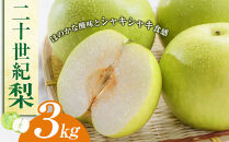 【先行予約】二十世紀梨&nbsp;3kg（JA）※2026年8月下旬～9月上旬頃に順次発送予定【梨&nbsp;なし&nbsp;ナシ&nbsp;二十世紀&nbsp;鳥取県産&nbsp;くだもの&nbsp;果物&nbsp;フルーツ&nbsp;旬&nbsp;鳥取県&nbsp;北栄町&nbsp;おすすめ&nbsp;人気&nbsp;3キロ】