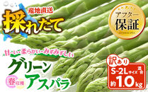 【訳あり】春収穫グリーンアスパラ&nbsp;S～2L混合サイズ&nbsp;約1kg&nbsp;（2027年6月上旬から発送開始予定)&nbsp;【&nbsp;アスパラ&nbsp;アスパラガス&nbsp;朝採り&nbsp;とれたて&nbsp;野菜&nbsp;旬&nbsp;保存&nbsp;産直&nbsp;旭川市&nbsp;北海道&nbsp;】_05955