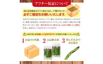 【訳あり】春収穫グリーンアスパラ&nbsp;S～2L混合サイズ&nbsp;約1kg&nbsp;（2027年6月上旬から発送開始予定)&nbsp;【&nbsp;アスパラ&nbsp;アスパラガス&nbsp;朝採り&nbsp;とれたて&nbsp;野菜&nbsp;旬&nbsp;保存&nbsp;産直&nbsp;旭川市&nbsp;北海道&nbsp;】_05955