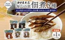 海山の恵&nbsp;つくだ煮5種セット&nbsp;まぐろ&nbsp;わかさぎ&nbsp;きゃらぶき&nbsp;椎茸昆布&nbsp;磯くるみ&nbsp;各1袋&nbsp;田中屋本店佃煮&nbsp;わかめ&nbsp;ご飯のお供&nbsp;おにぎり&nbsp;お茶漬け&nbsp;惣菜&nbsp;おかず&nbsp;和食&nbsp;トッピング&nbsp;老舗&nbsp;ギフト&nbsp;贈り物&nbsp;朝食&nbsp;弁当&nbsp;おつまみ&nbsp;小田原市&nbsp;神奈川県