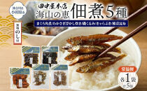 無地熨斗&nbsp;海山の恵&nbsp;つくだ煮5種セット&nbsp;まぐろ&nbsp;わかさぎ&nbsp;きゃらぶき&nbsp;椎茸昆布&nbsp;磯くるみ&nbsp;各1袋&nbsp;田中屋本店佃煮&nbsp;わかめ&nbsp;ご飯のお供&nbsp;おにぎり&nbsp;お茶漬け&nbsp;惣菜&nbsp;おかず&nbsp;和食&nbsp;トッピング&nbsp;老舗&nbsp;ギフト&nbsp;贈り物&nbsp;朝食&nbsp;弁当&nbsp;おつまみ&nbsp;小田原市&nbsp;神奈川県