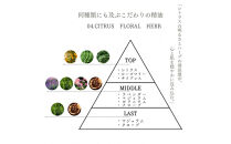 04.プラセンタモイスチャーセラム