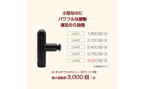 ボディケアガン&nbsp;ティゴラ/234gの軽量小型モデル/パワフル振動/静音